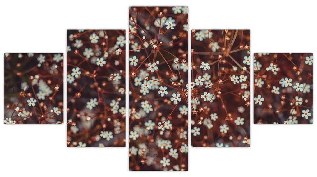 Obraz kwiatu niezapominajki (125x70 cm)