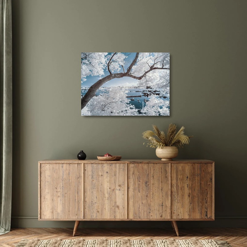 Obraz na szkle - ośnieżone drzewo nad wodą (70x50 cm)