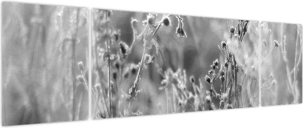 Obraz - Dzika łąka (170x50 cm)