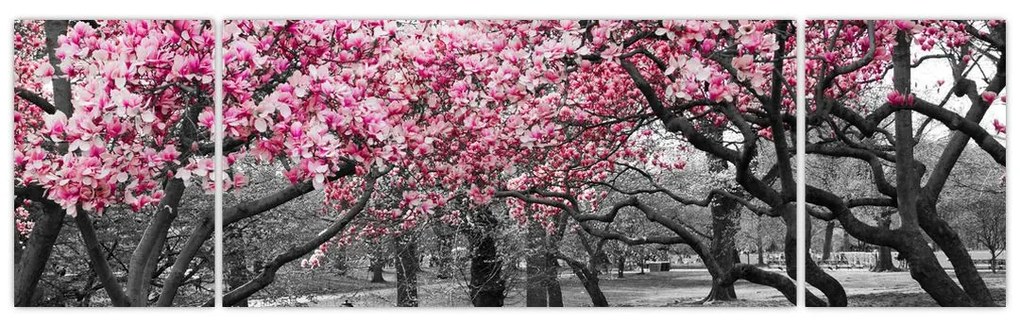 Obraz drzew magnolii (170x50 cm)
