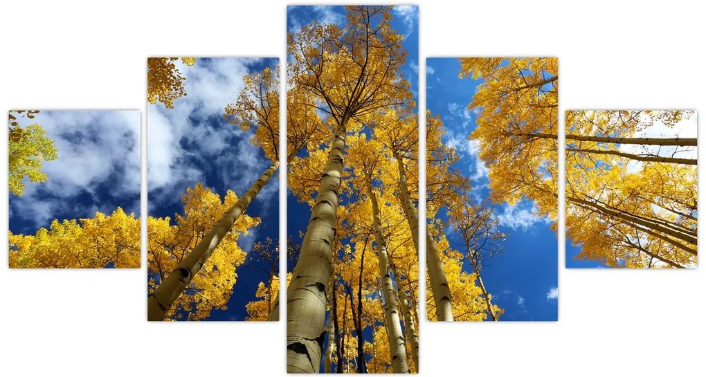Obraz - Aspen (125x70 cm)