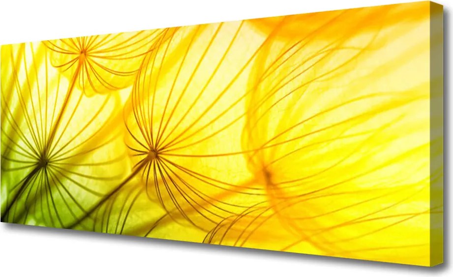 Obraz canvas Puszyste Kule Dmuchawców