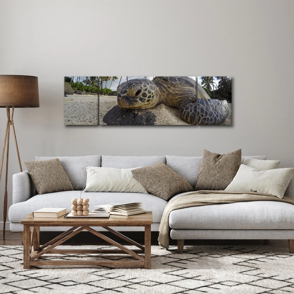 Obraz żółwia (170x50 cm)