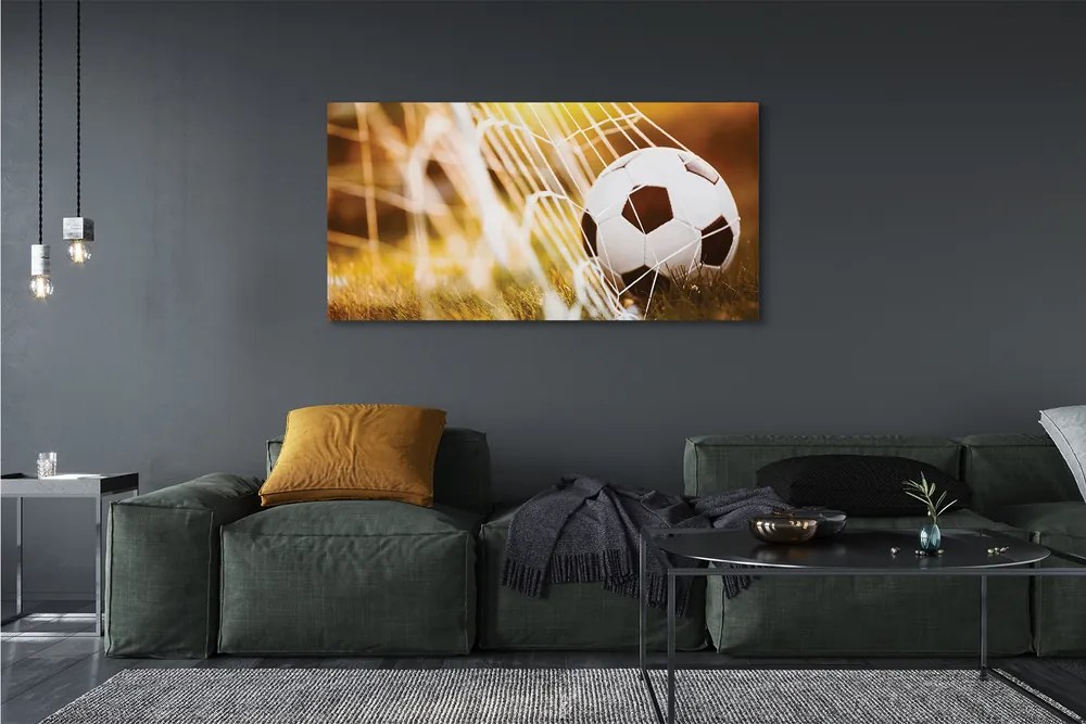 Obraz na płótnie Kontrastowy Futbol Na Murawie