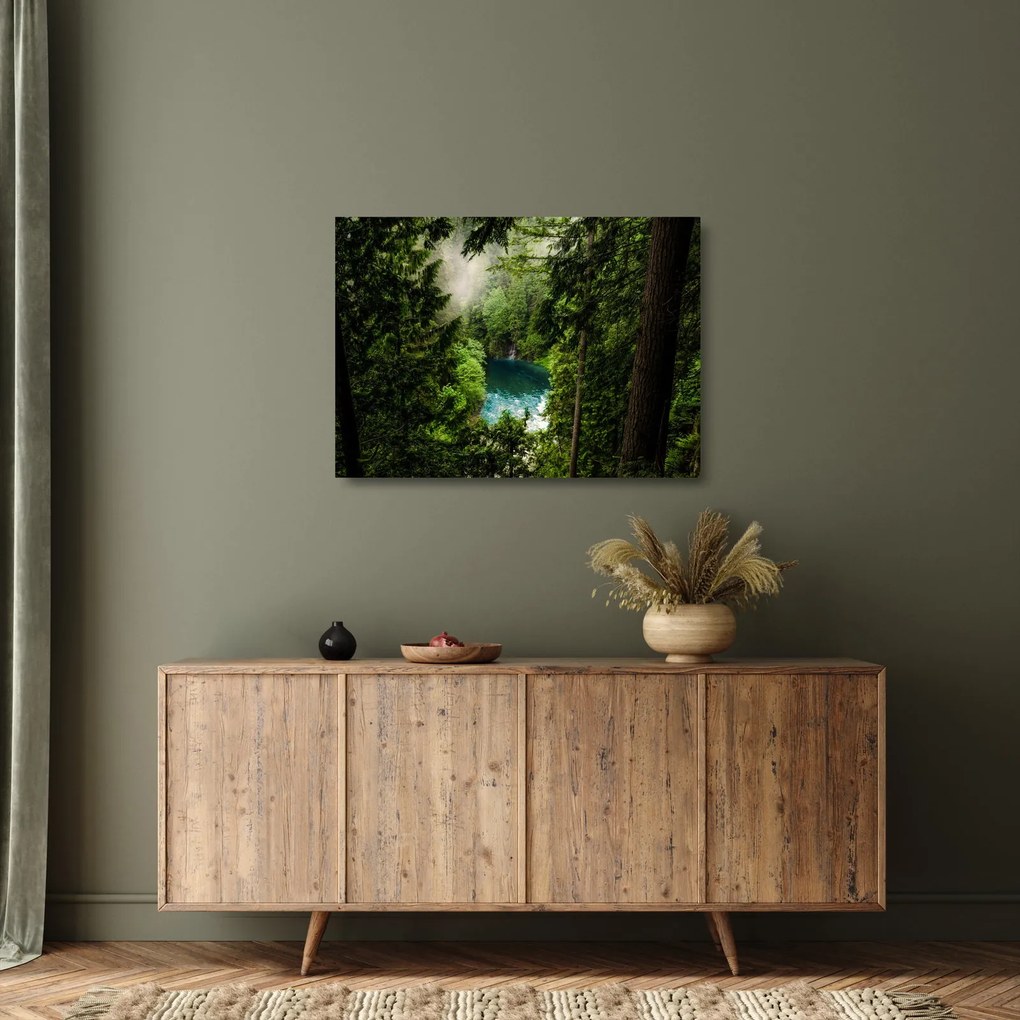 Obraz na szkle - Przestrzeń między drzewami (70x50 cm)
