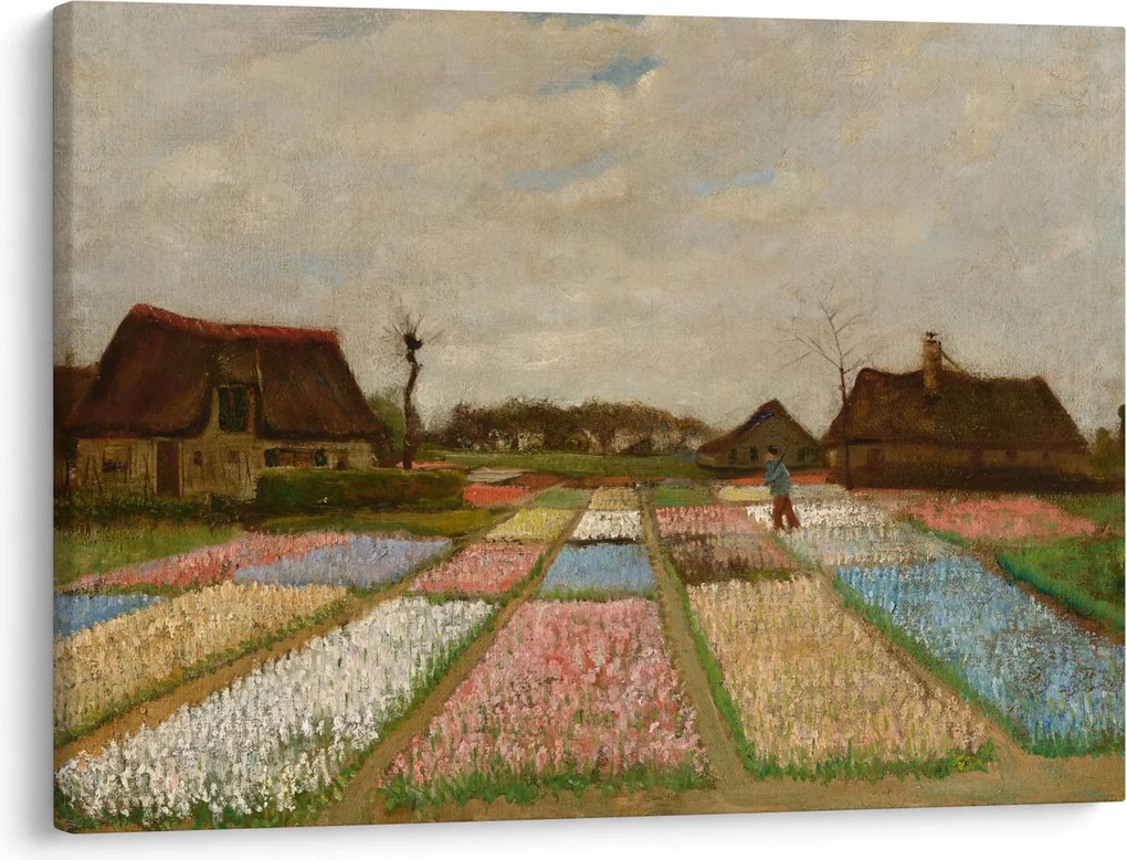Obraz - Vincent van Gogh, Flower Beds in Holland, reprodukcje (70x50 cm)