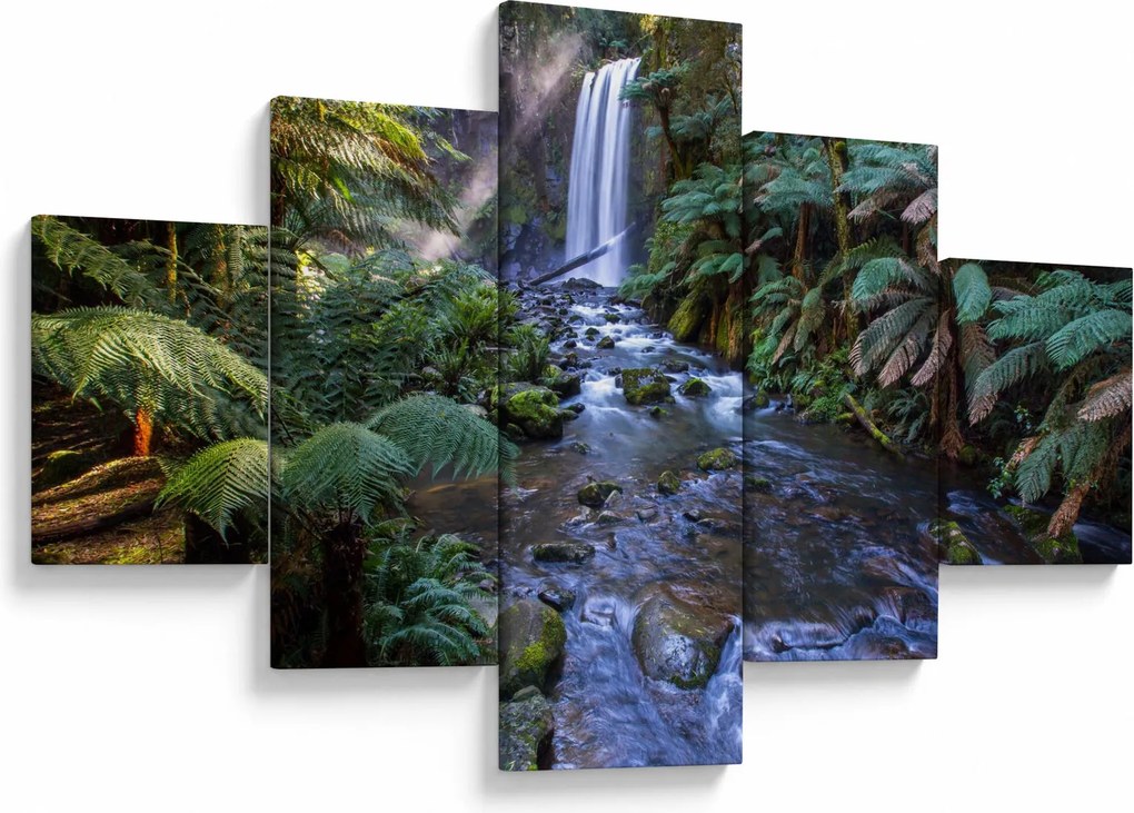 Obraz australijskiego lasu deszczowego (125x70 cm)
