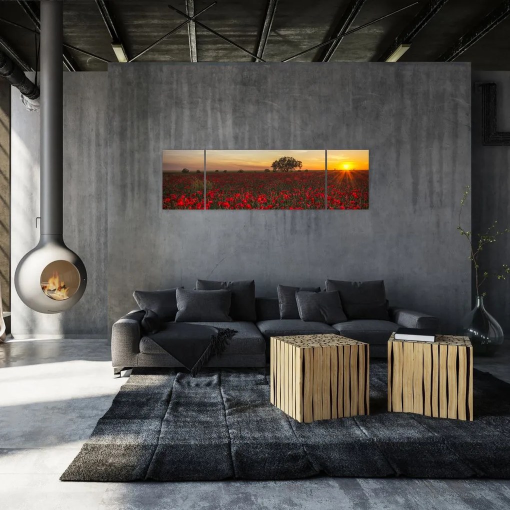 Obraz łąki z makami (170x50 cm)
