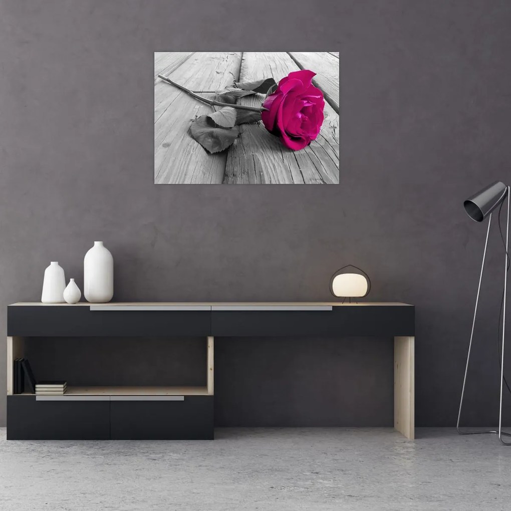 Obraz na szkle - Różowa róża (70x50 cm)