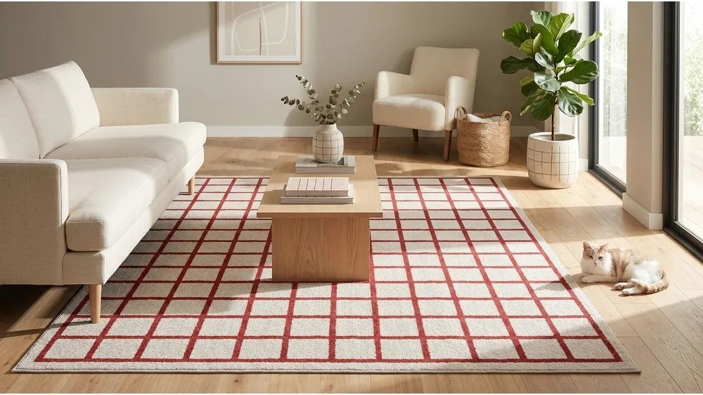 Czerwony/beżowy dywan 120x170 cm Picnic – ESTE