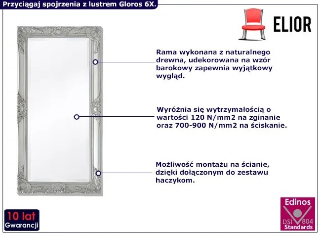 Stylowe prostokątne lustro wiszące - Gloros 6X