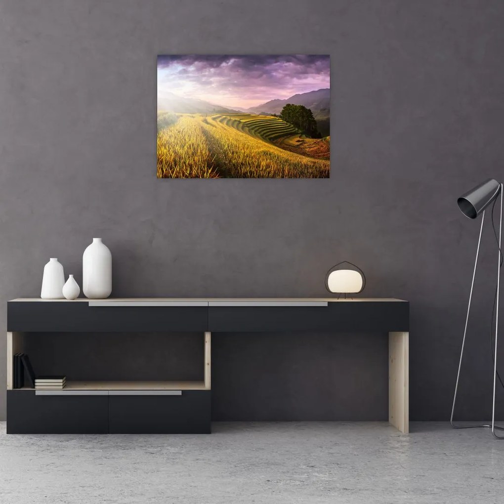 Obraz na szkle krajobrazu (70x50 cm)