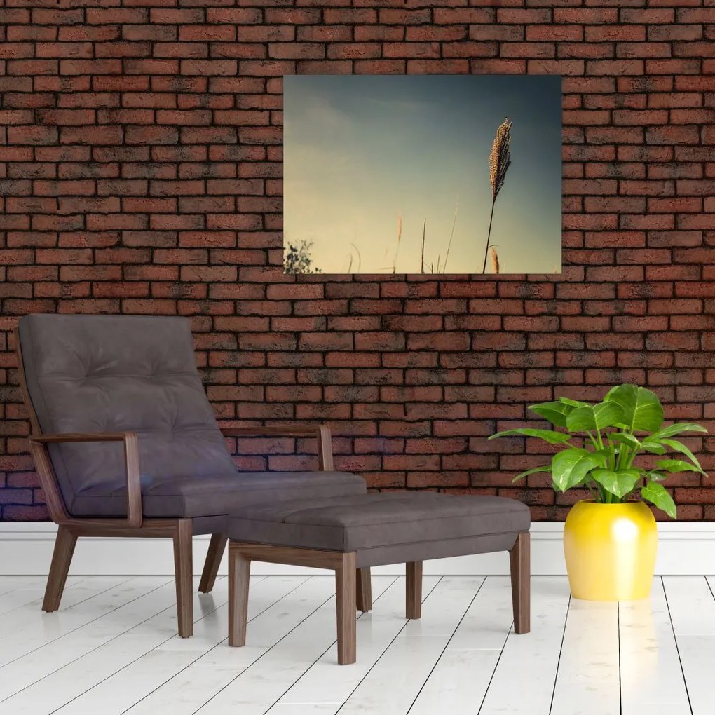 Obraz z trawą (70x50 cm)