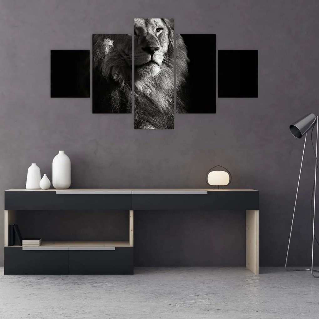 Obraz - Lew (125x70 cm)