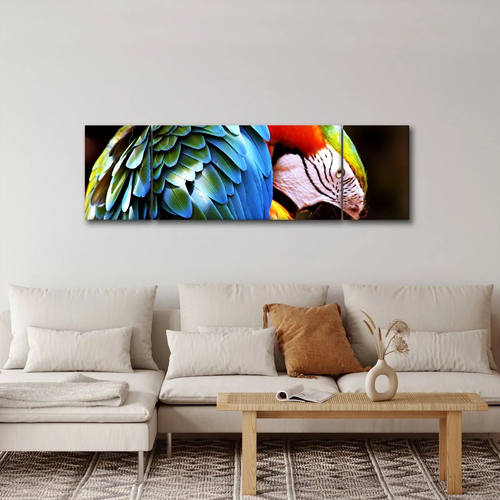 Obraz - Papuga (170x50 cm)