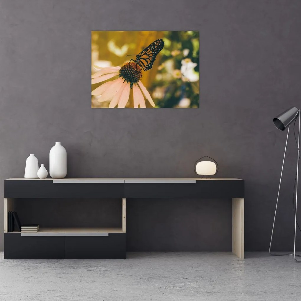 Obraz na szkle motyla na kwiatku (70x50 cm)