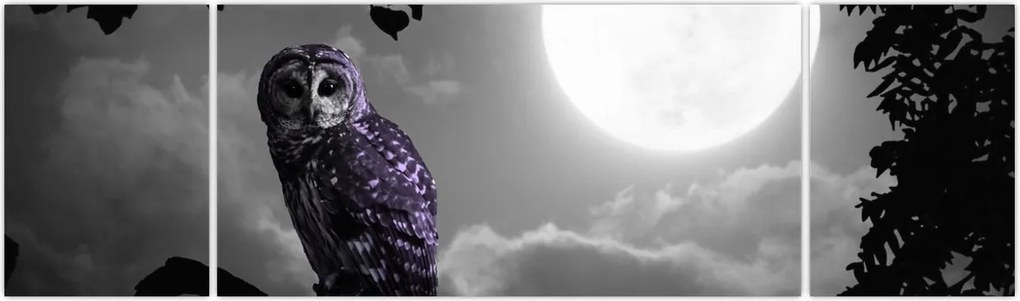 Obraz - Nocna sowa, fioletowa sowa (170x50 cm)