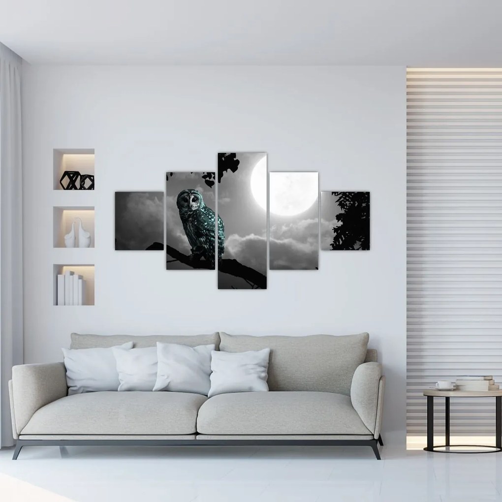 Obraz - Nocna sowa, niebieski (125x70 cm)