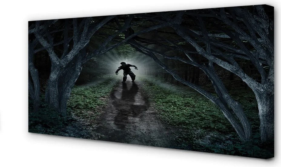 Zdjęcie na płótnie Ciemny Las i Postać