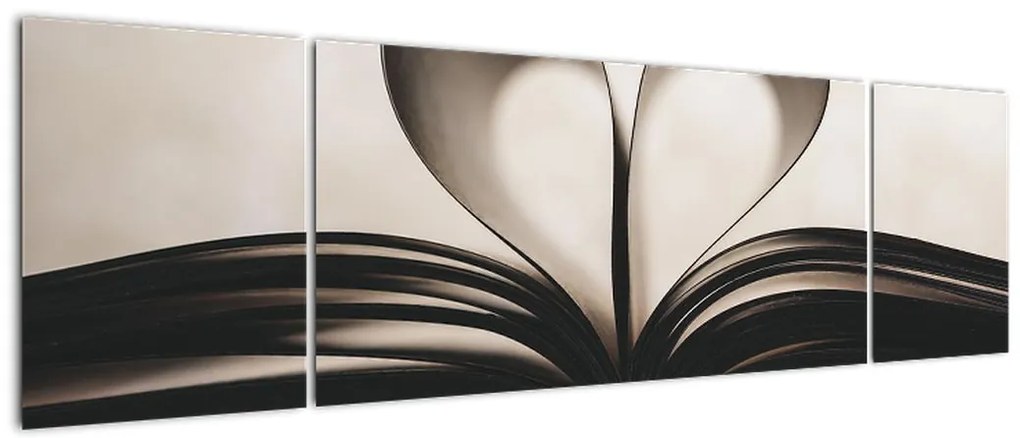 Obraz książki (170x50 cm)