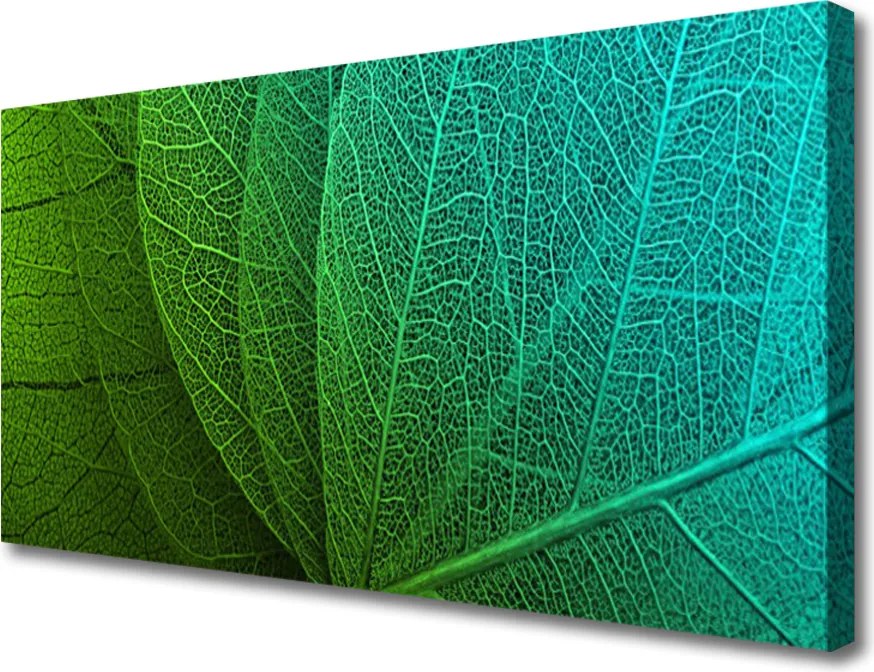 Obraz na płótnie Botaniczna Forma Abstrakcyjna