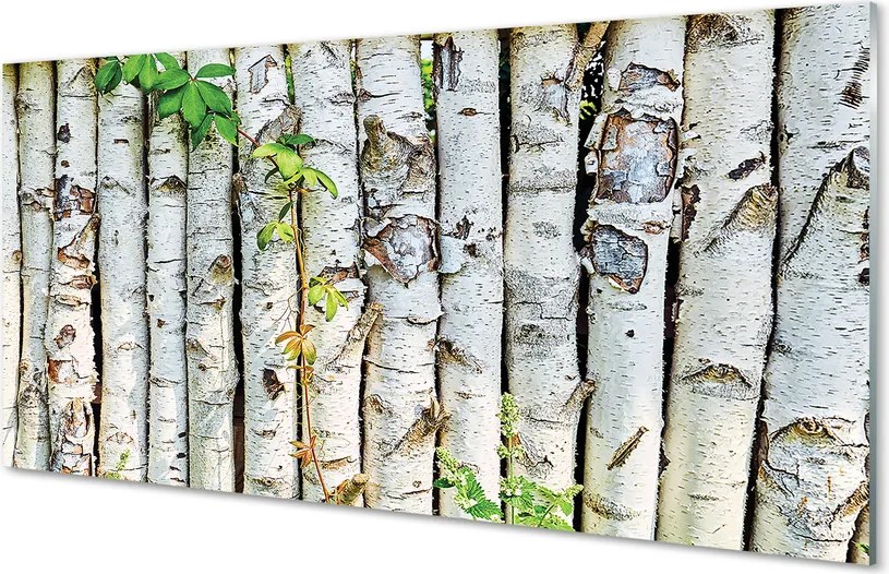 Panel szklany do Kuchni Zielone Liście Brzozy