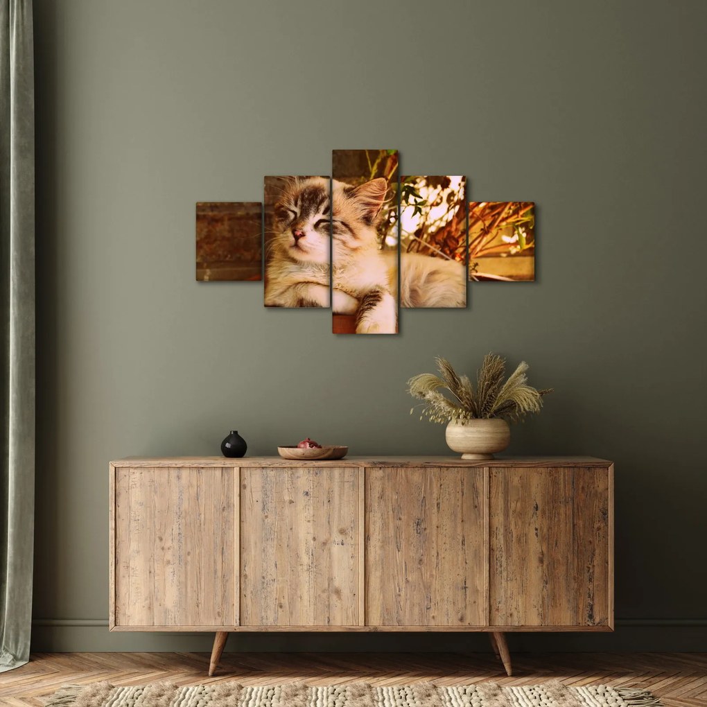 Obraz kota w doniczce (125x70 cm)