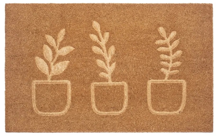 Wycieraczka z włókna kokosowego 75x45 cm Flowerpot – Hanse Home