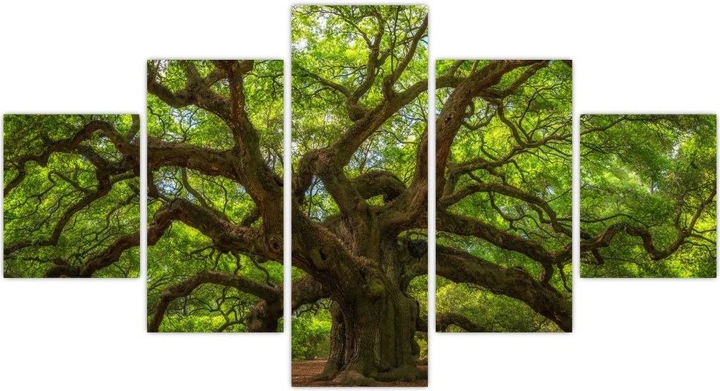 Obraz - Zielone drzewo (125x70 cm)