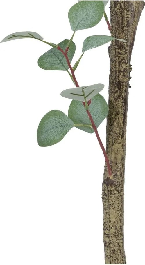 Sztuczny eukaliptus (wysokość 180 cm) Eucalyptus – Ixia