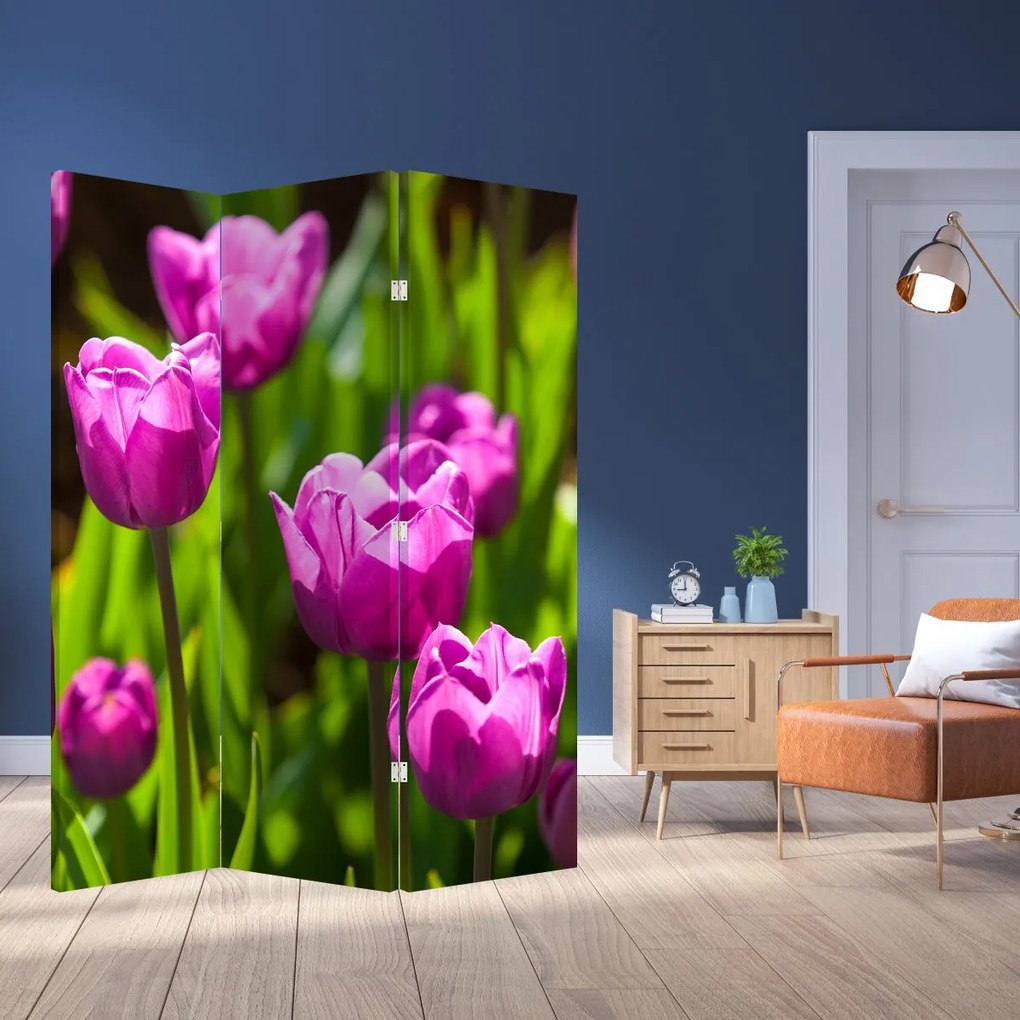 Parawan - Tulipany na łące (126x170 cm)