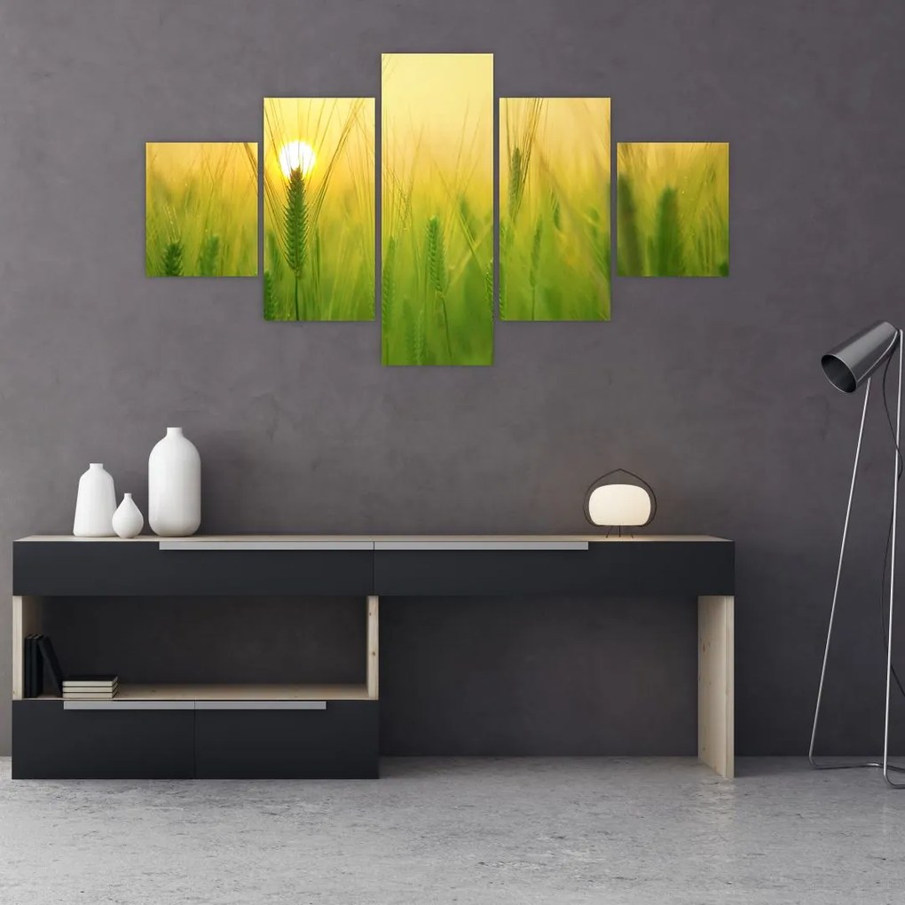 Obraz pola ze zbożem (125x70 cm)