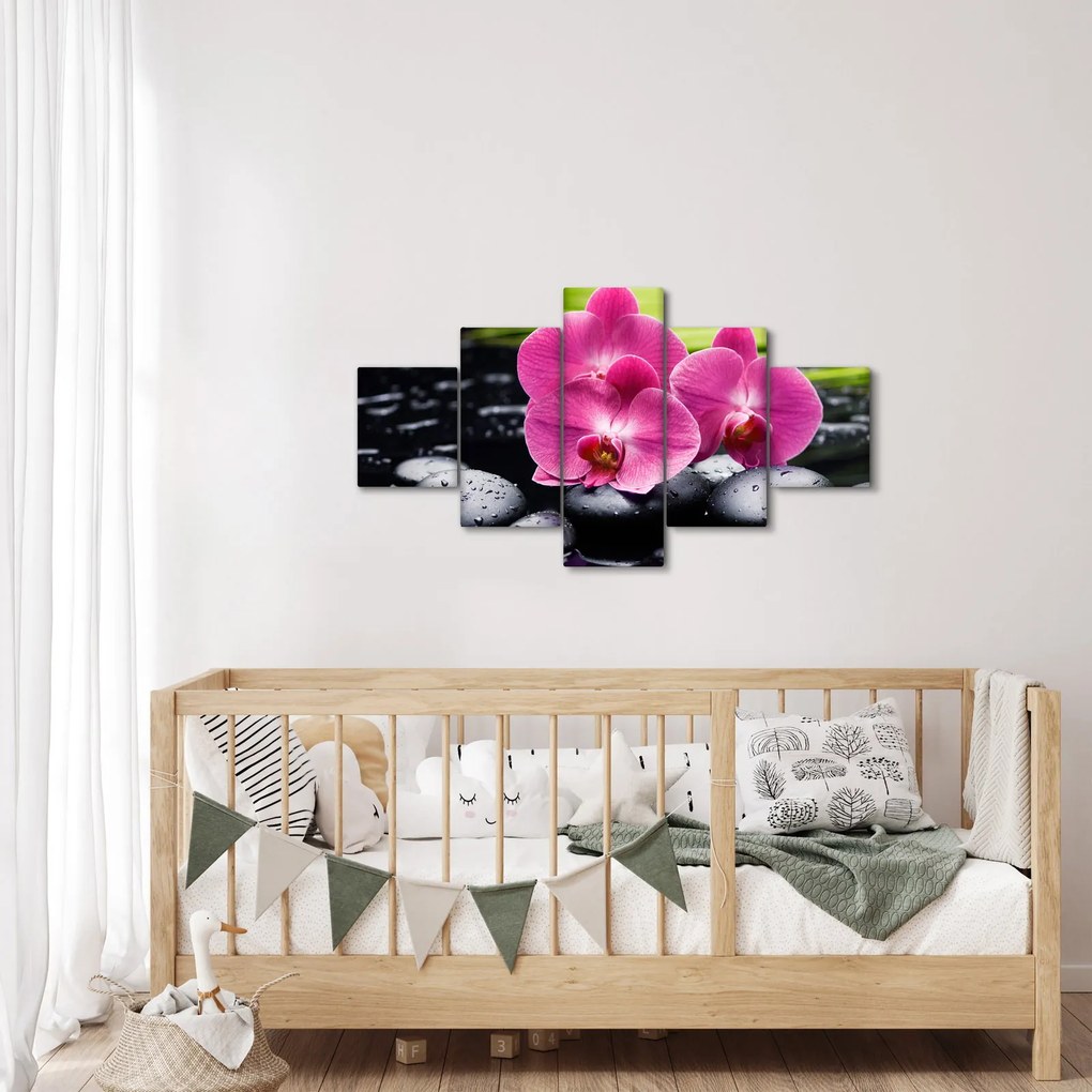 Obraz - Różowe orchidee z liściem palmy (125x70 cm)