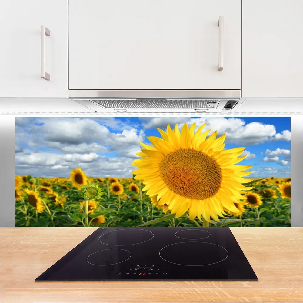 Panel Szklany do Kuchni Złoty Słonecznik pod Niebem