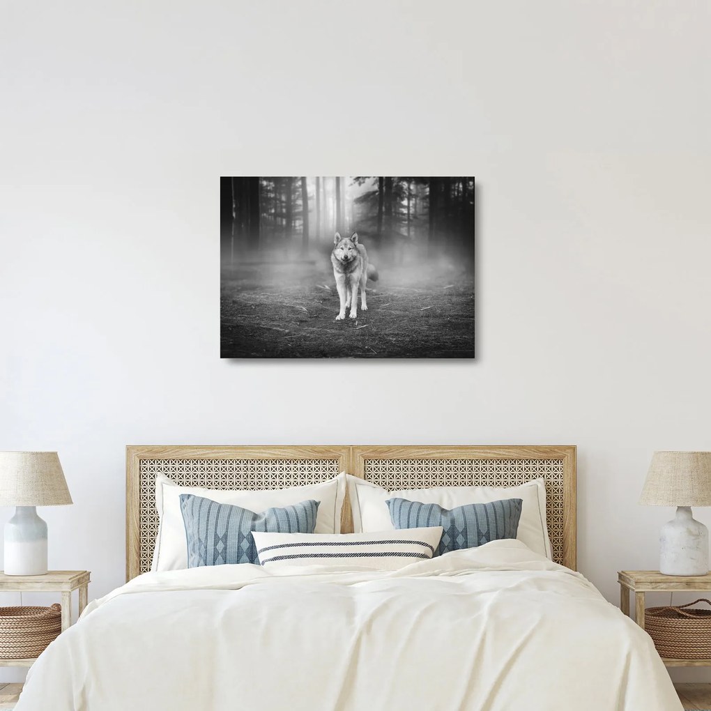 Obraz na szkle - Strażnik leśny, czarno - biały (70x50 cm)
