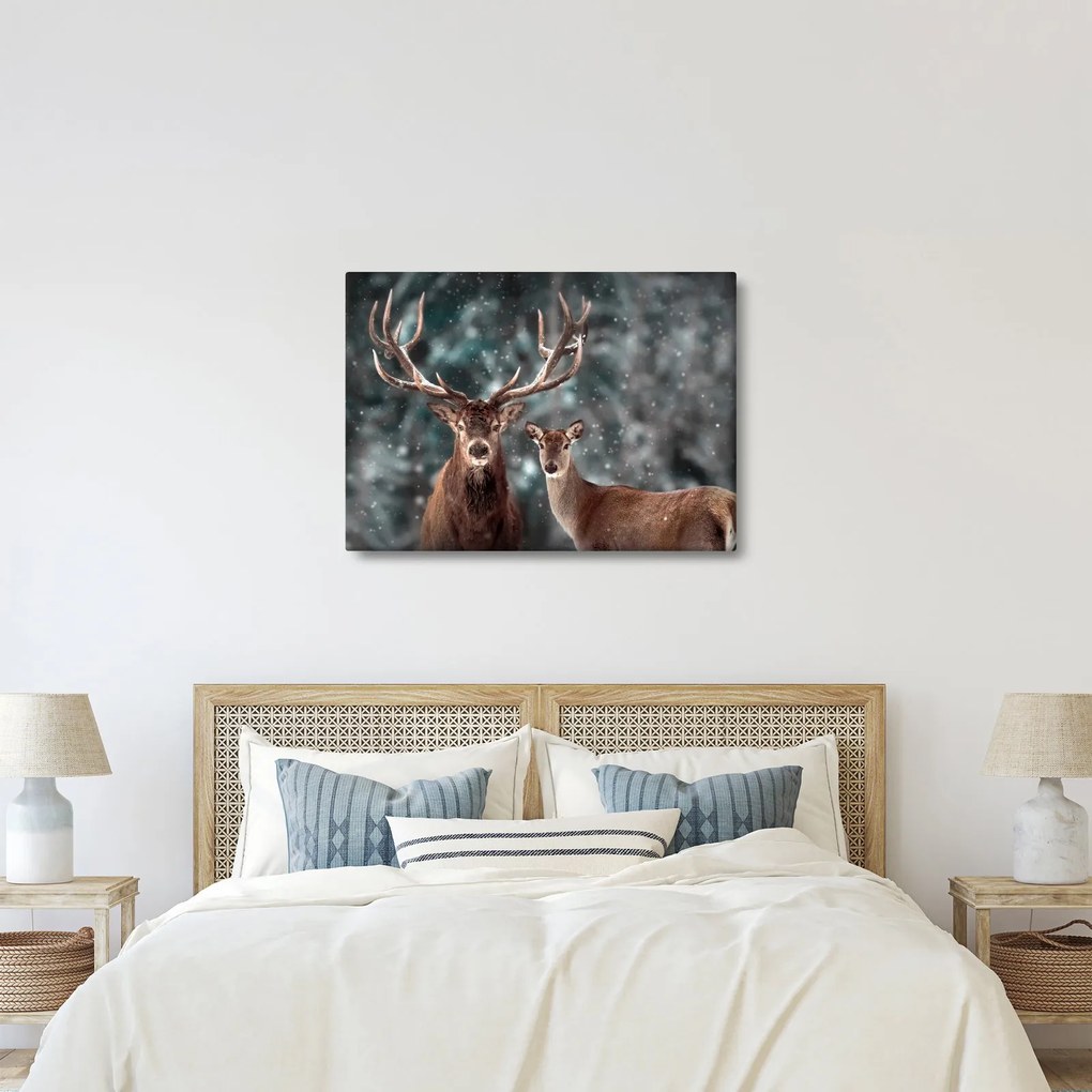 Obraz - Jeleń i łania w zaśnieżonym lesie (70x50 cm)