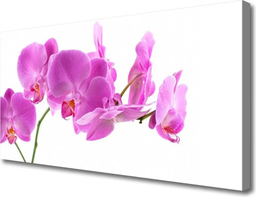 Obraz na płótnie Ogród Kwiatowy w Pełni Lata