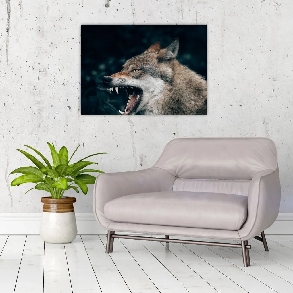Obraz na szkle wilka (70x50 cm)
