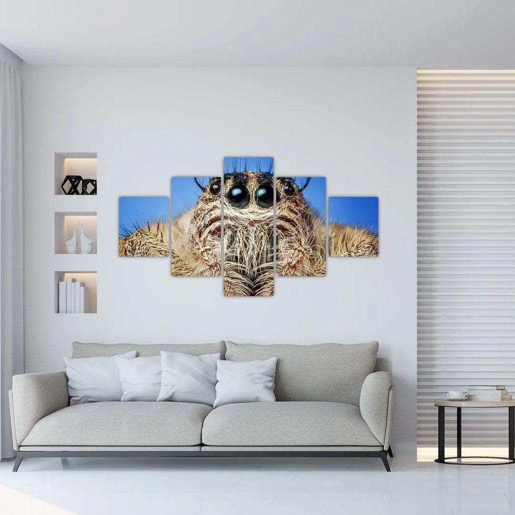 Obraz szczegółu pająka (125x70 cm)