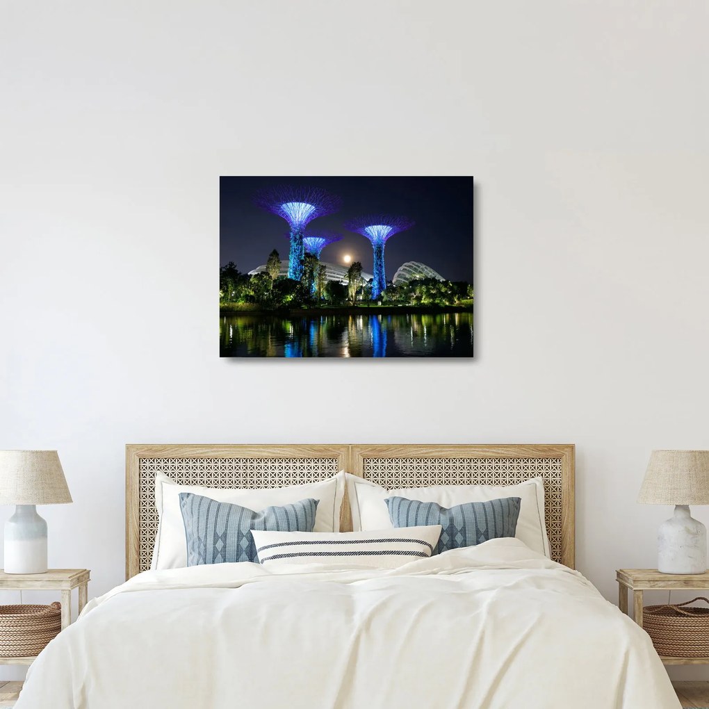 Obraz na szkle przedstawiający pełnię księżyca w ogrodach Singapuru (70x50 cm)
