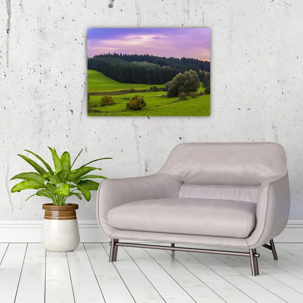 Obraz łąki (70x50 cm)