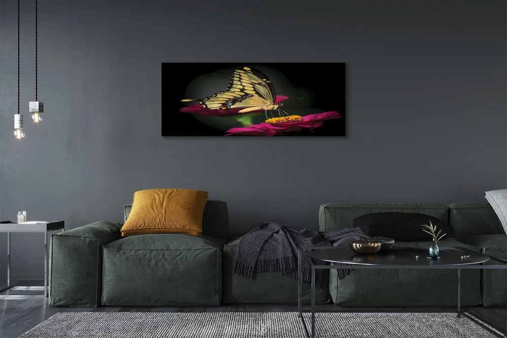 Obraz na płótnie Motyl na Roślinie