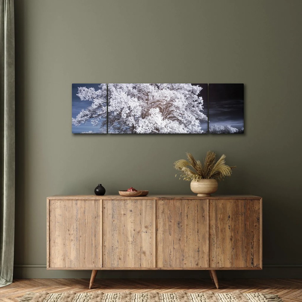 Obraz - Śnieżnobiałe drzewo (170x50 cm)