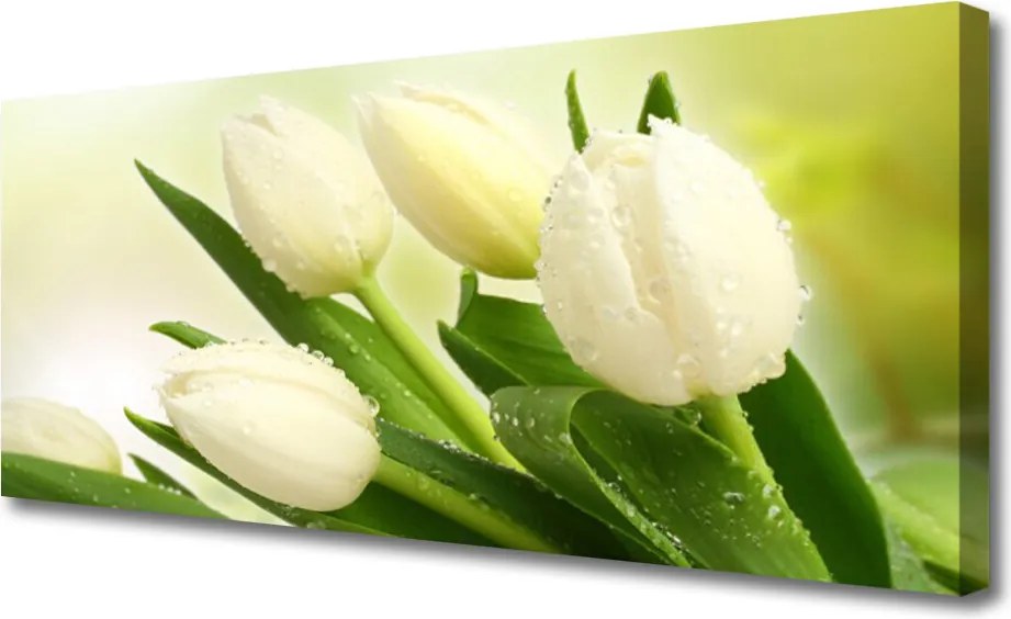 Obraz na płótnie Wiosenna Świeżość Tulipanów