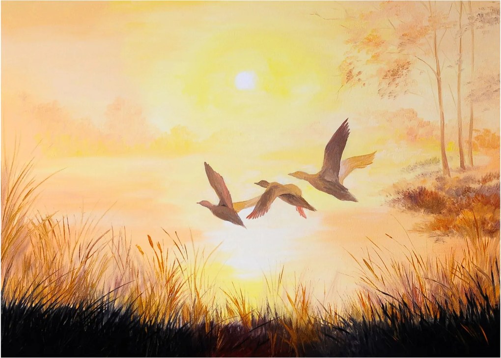 Obraz na szkle - Żurawie o zachodzie słońca (70x50 cm)