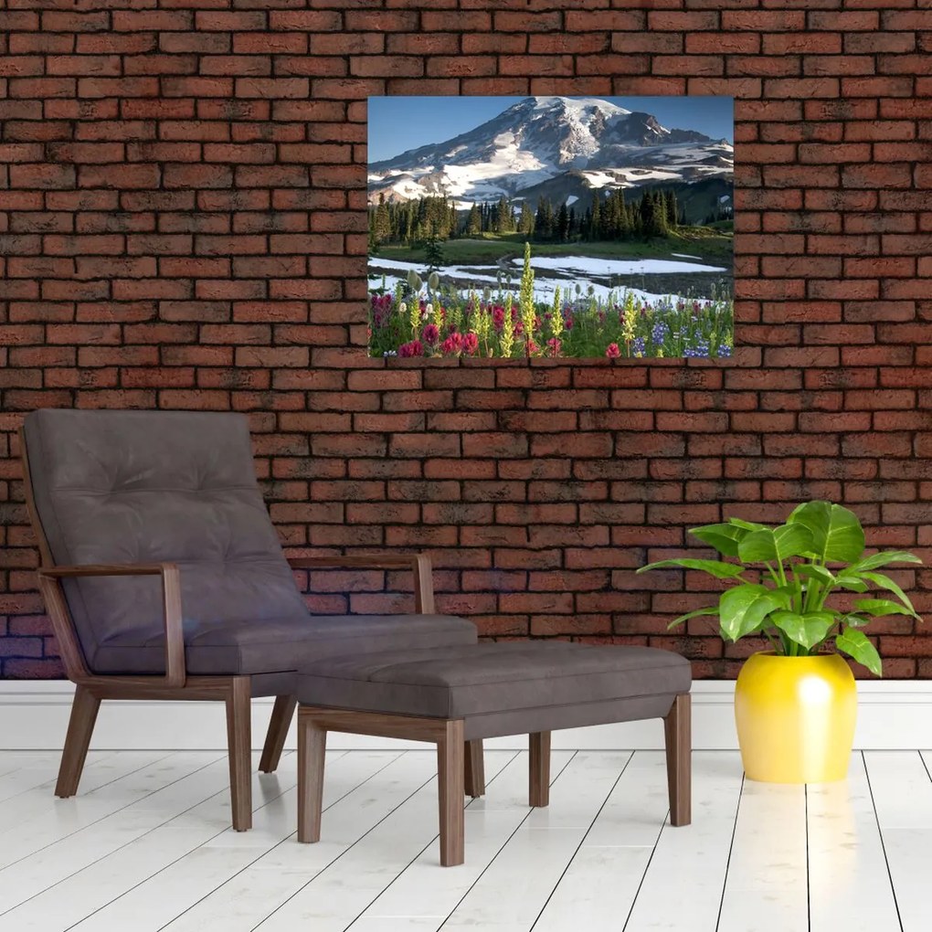 Obraz - Mount Rainier (70x50 cm)