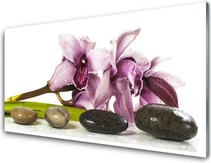 Panel Szklany Harmonijna Roślina i Kamienie