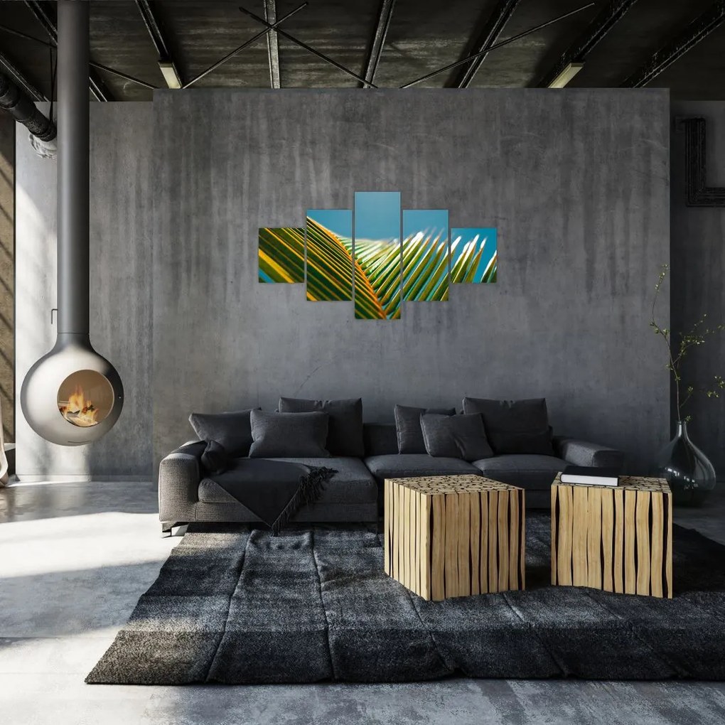 Obraz - Detal liścia palmowego (125x70 cm)