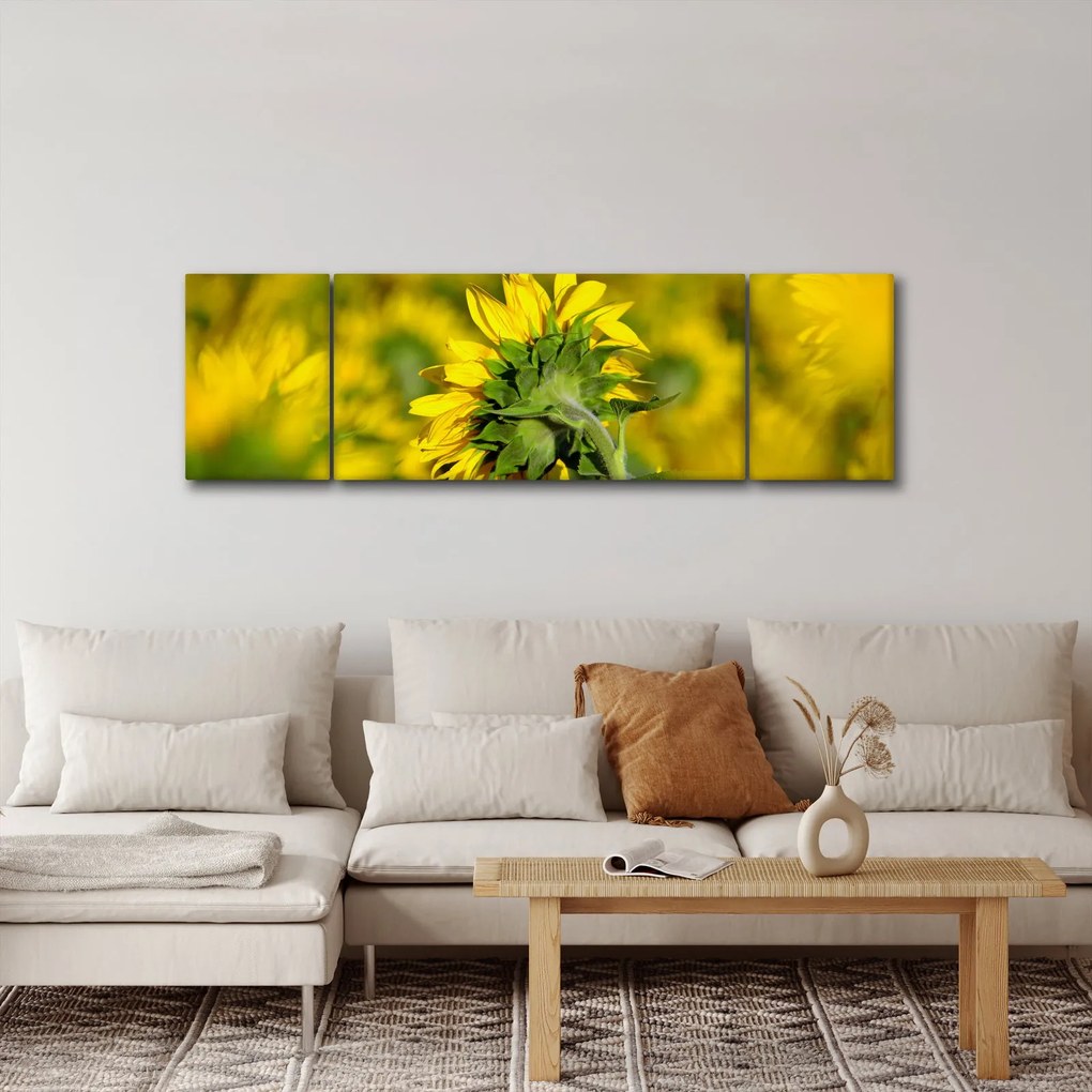 Obraz słonecznika (170x50 cm)