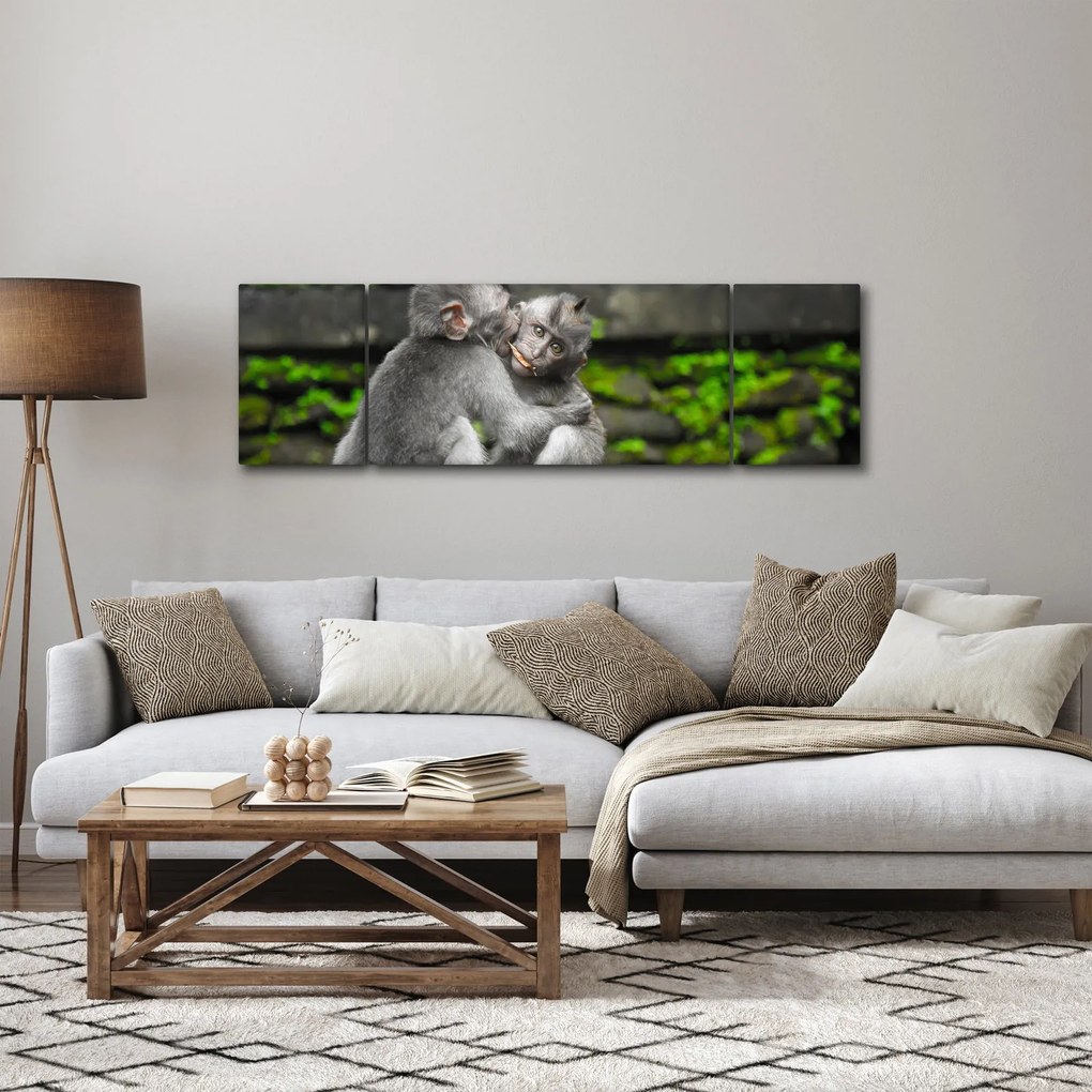 Obraz - małpki (170x50 cm)